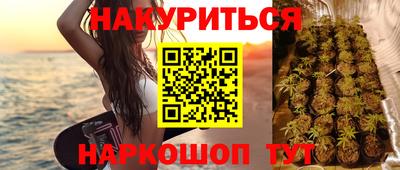 сатива Пенза