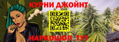 сатива Пенза