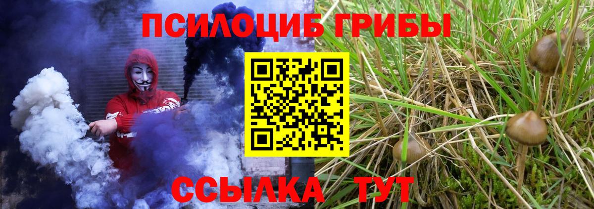 Псилоцибиновые грибы ЛСД Подольск