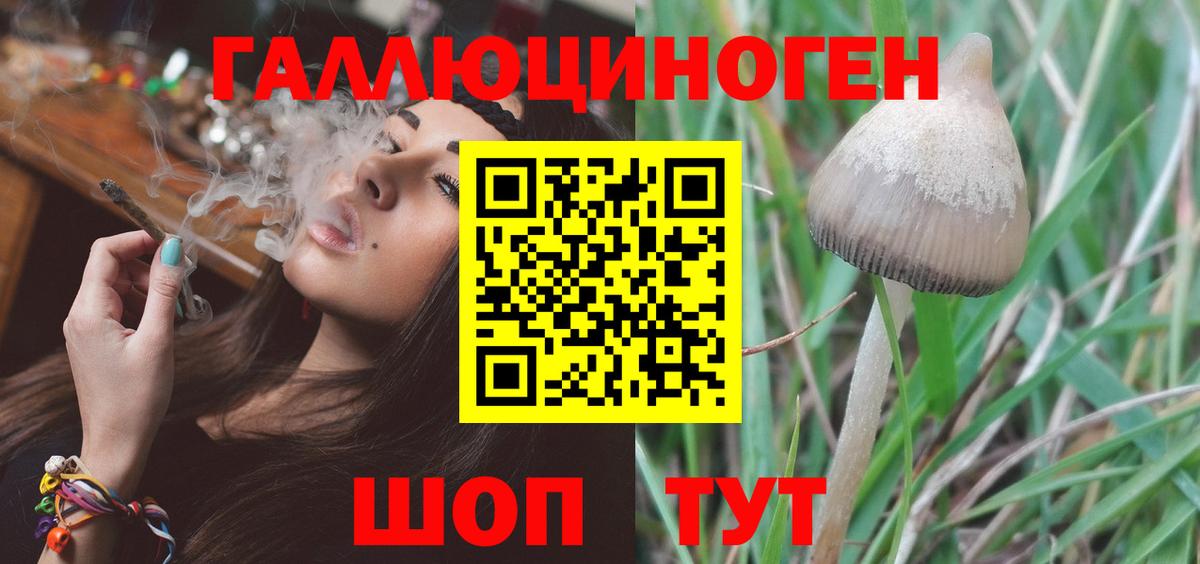 Подольск  Галлюциногенные грибы Cubensis  Вход с VPN  Галлюциногенные грибы Cubensis 